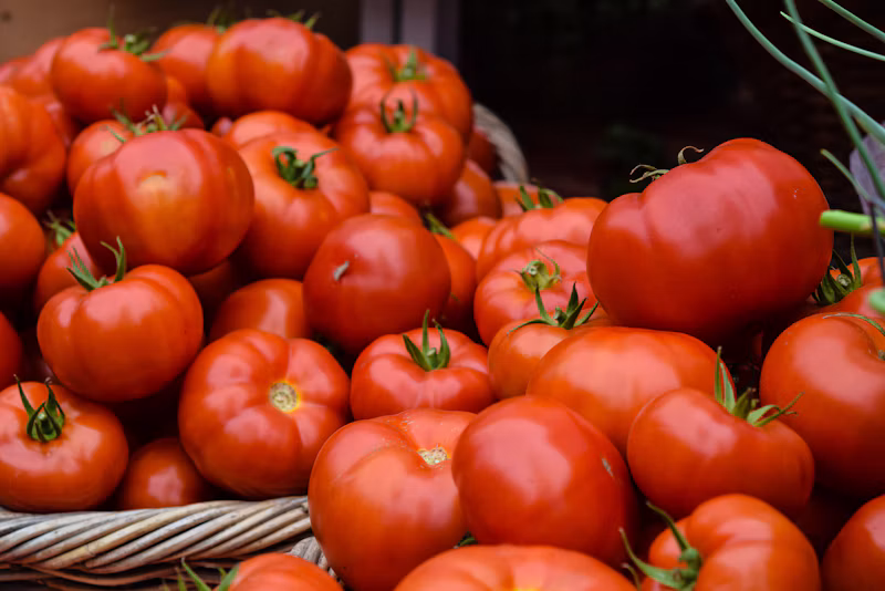 Tomate Italiano (kg)